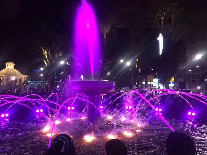 Pond Water Fountain With 2D Digital Nozzles And LED Lights, Mexico
