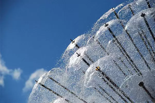 Semi-Spherical Dandelion1