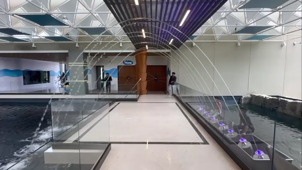 Fuente musical laminar en un centro comercial, India 11 Laminar Music Fountain At Shopping Mall,India