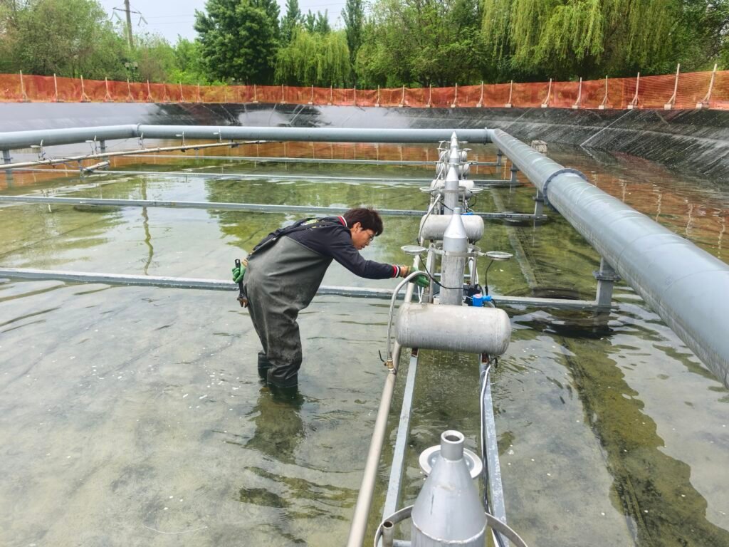 Proyecto de construcción de una fuente musical en Tayikistán 5 fountain maintenance